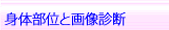 身体部位と診断画像