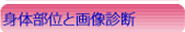 身体部位と診断画像